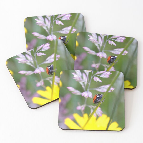 Item preview, “ Ladybird World “ designed and sold by Richard Couchman.
