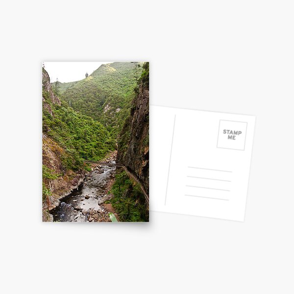 Cliff Walls, Karangahake Gorge Postcard