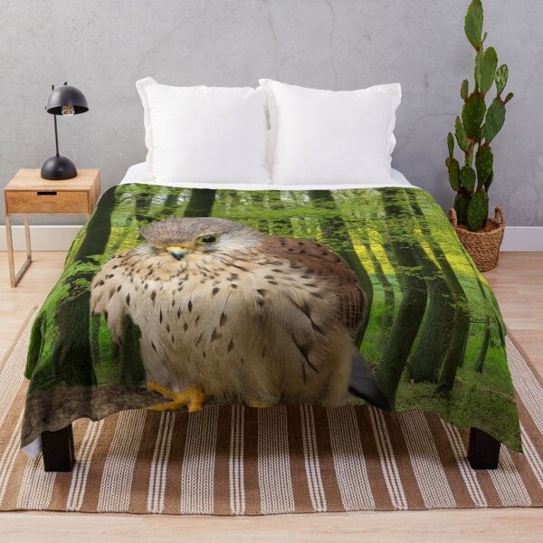 Item preview, Little hawk - wildlife photography designed and sold by MarionsArt.