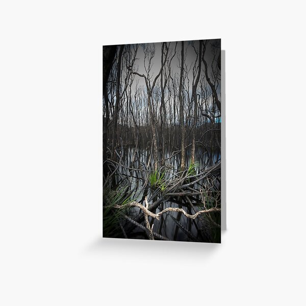 Item preview, Wilson's Promontory after the fires designed and sold by Michael Sanders.