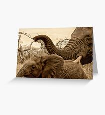 Mommys boy Greeting Card