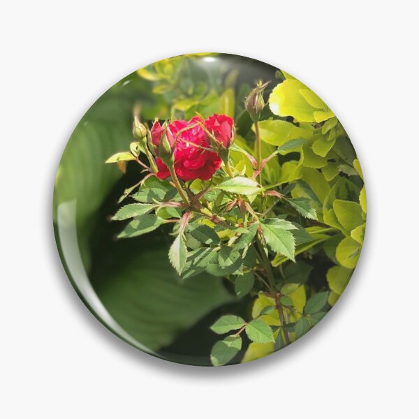 Artikelvorschau, Kleine Rose entworfen und verkauft von Debbie Rushton.