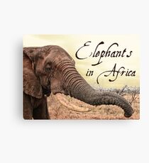 Elephants in africa Canvas Print