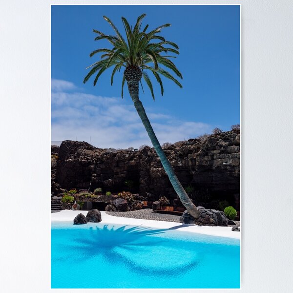 Item preview, Jameos del Agua swimming pool designed and sold by iCimages.net.
