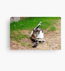 the yogic cat Canvas Print