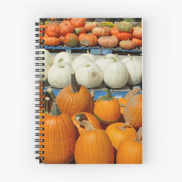 Item preview, Pumpkins All In A Row! designed and sold by ALifeSavored.
