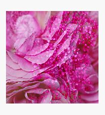Summer Melt Photographic Print