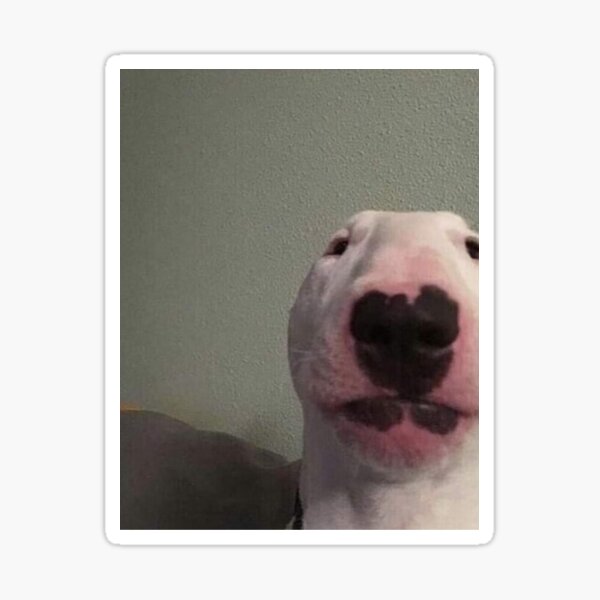Item preview, Walter Dog Tee designed and sold by Kayne12.