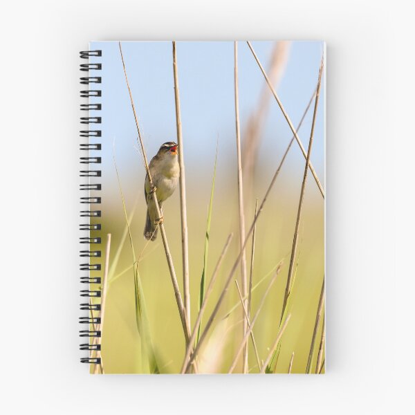 Item preview, Singing Sedge Warbler Bird designed and sold by rwhooster.