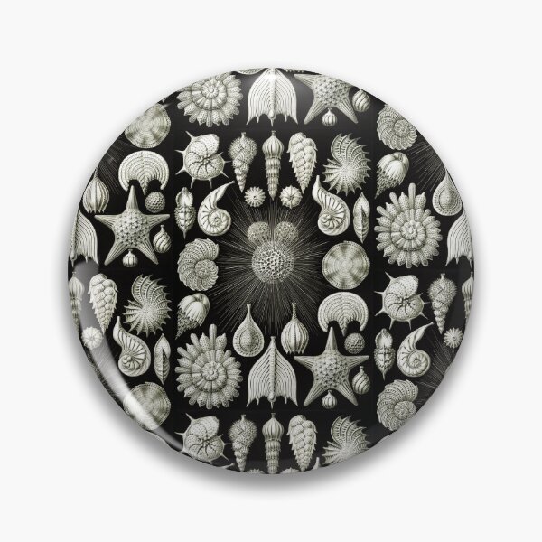 Item preview, Vintage Illustration - Thalamphora - Ernst Haeckel, Beach Theme Nature designed and sold by NewNomads.