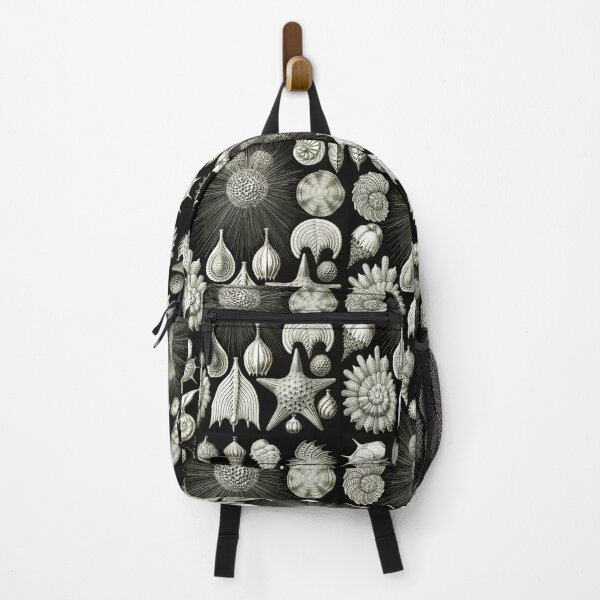 Item preview, Vintage Illustration - Thalamphora - Ernst Haeckel, Beach Theme Nature designed and sold by NewNomads.