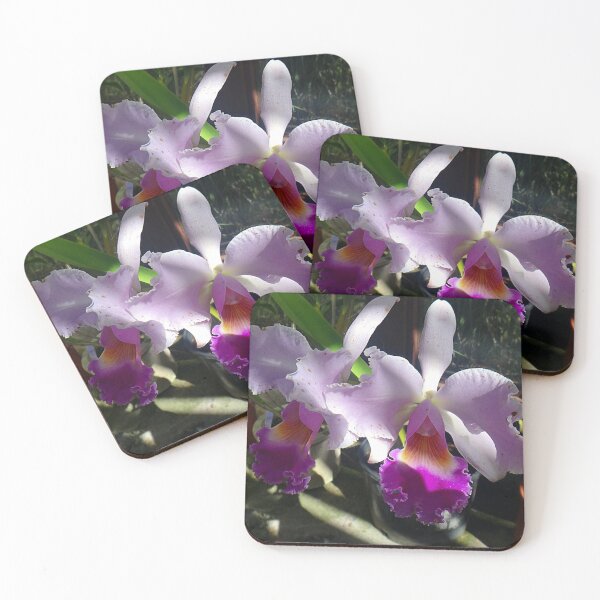 Item preview, Cattleya Warneri Orchids designed and sold by TwoSmallPtatoes.