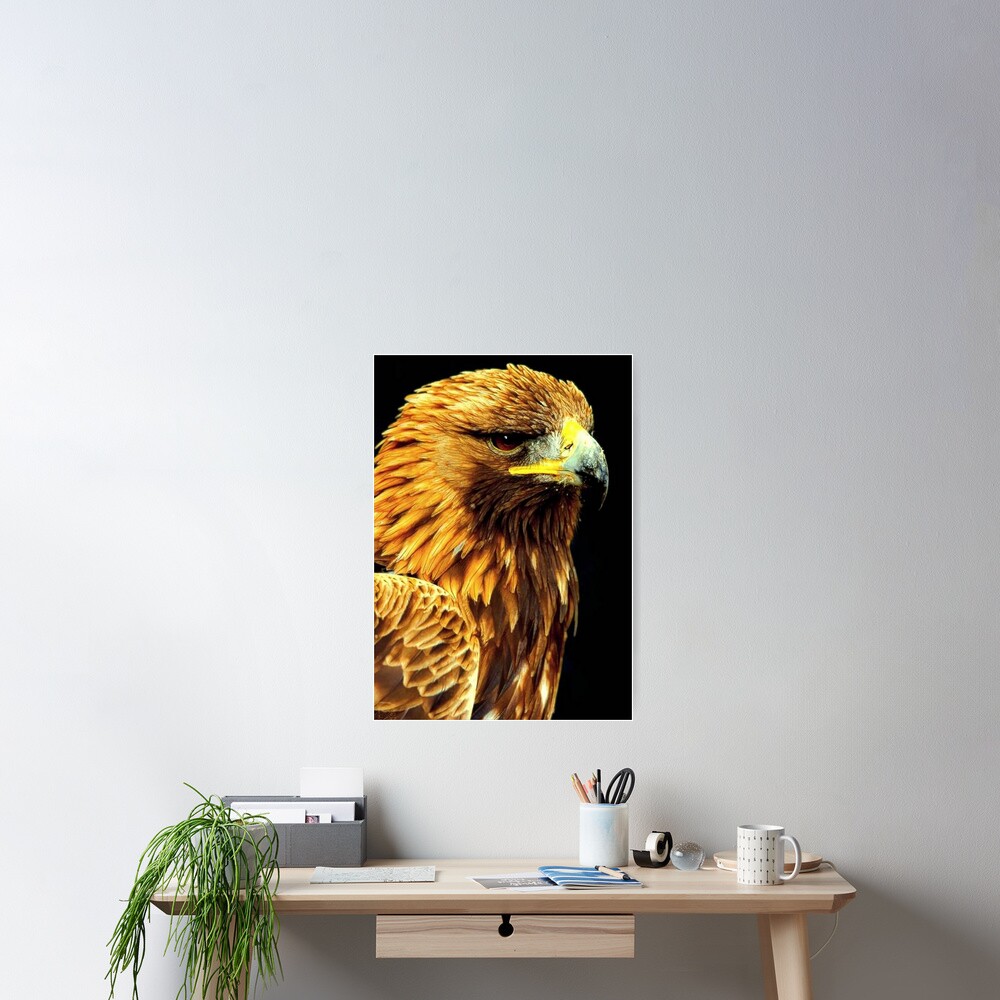 BIRD OF PREY Poster