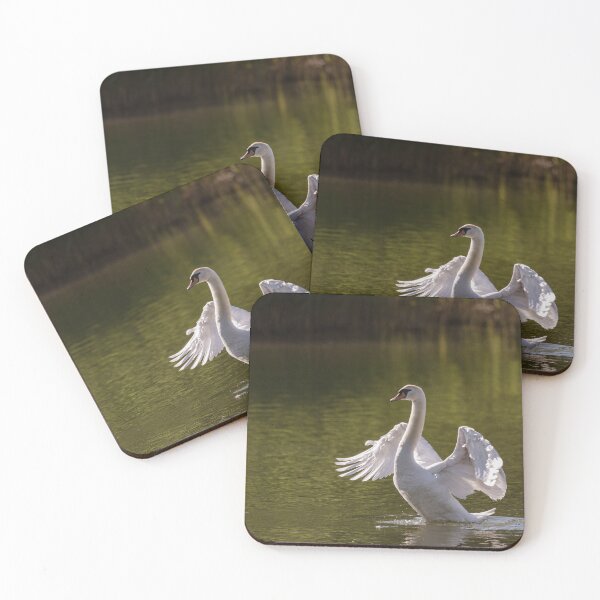 Item preview, Mute swan swims in the river waters spreading its large wings designed and sold by brambillasimone.
