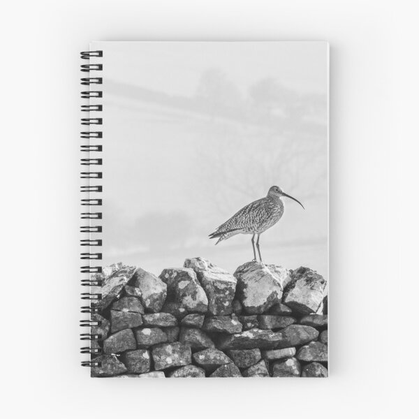 Item preview, Curlew on dry stone wall designed and sold by mikebov.