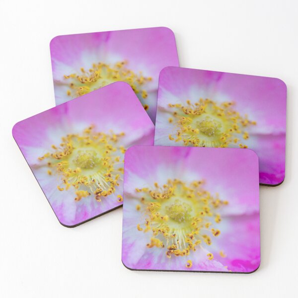 Item preview, Solar flare designed and sold by KazzaKphotos.