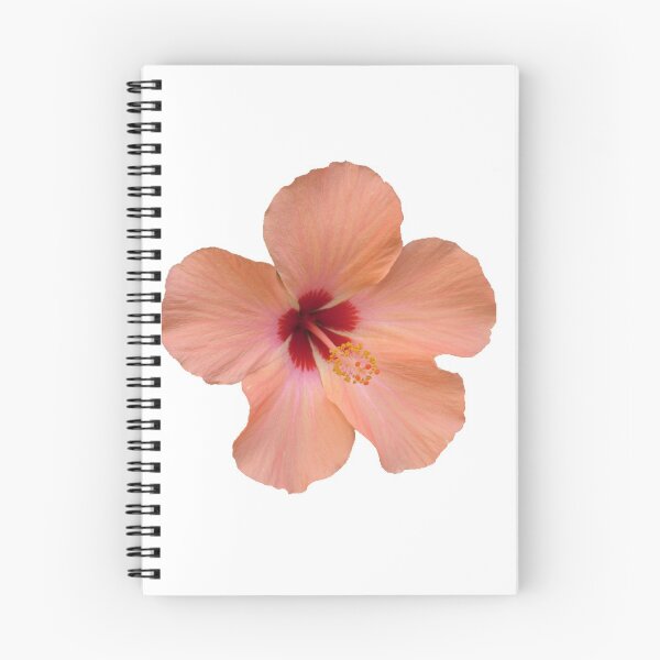 Item preview, Pink flower designed and sold by ebi1405.