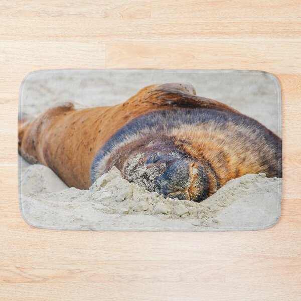 Item preview, Sealion on the sand designed and sold by Photopat.