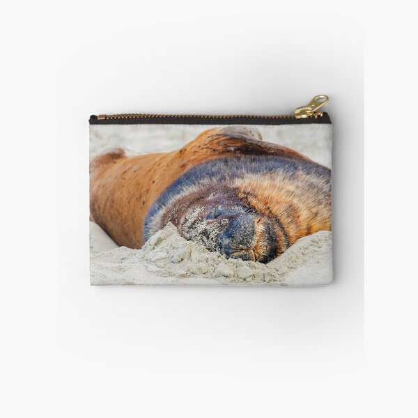 Item preview, Sealion on the sand designed and sold by Photopat.