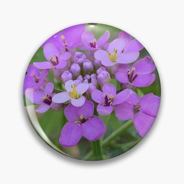 Item preview, Purple designed and sold by Vclark90.