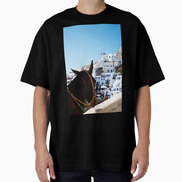 Item preview, Donkey's View Of Oia, Santorini  designed and sold by Paul Thompson Photography.
