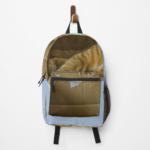 Item preview, Cat in a box designed and sold by Photopat.