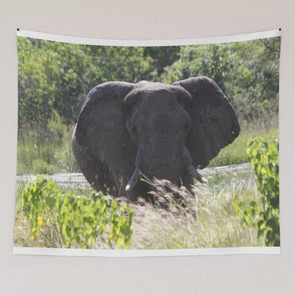 Item preview, Elephant who comes to drink designed and sold by EstelleRossetti.