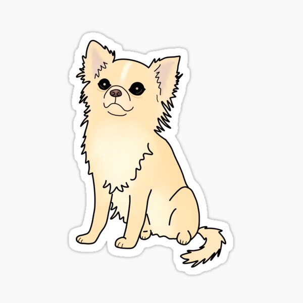 Long haired chihuahua Sticker