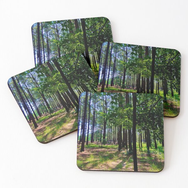 Item preview, walk in the woods designed and sold by ARTSHACKPRINTS.