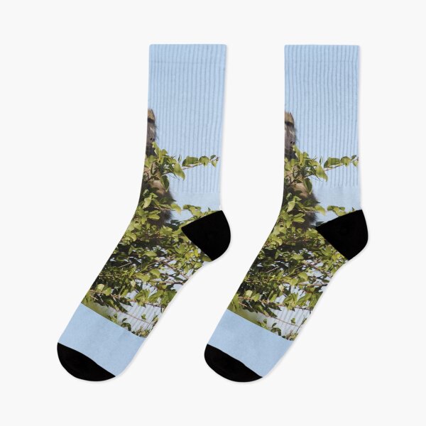 Item preview, Baboon monkeys savanna africa mammal	 designed and sold by EstelleRossetti.