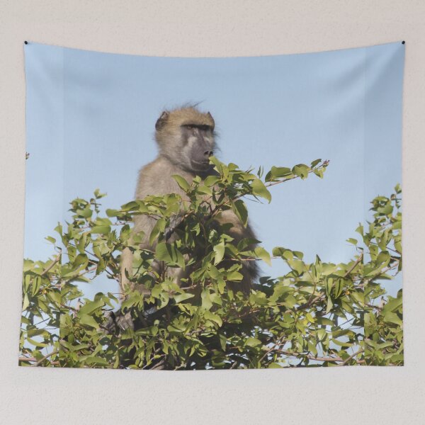 Item preview, Baboon monkeys savanna africa mammal	 designed and sold by EstelleRossetti.