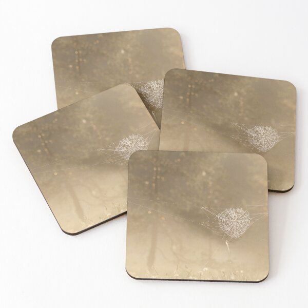 Item preview, 19.6.2020: Cobweb at Marsh designed and sold by Petri Volanen.