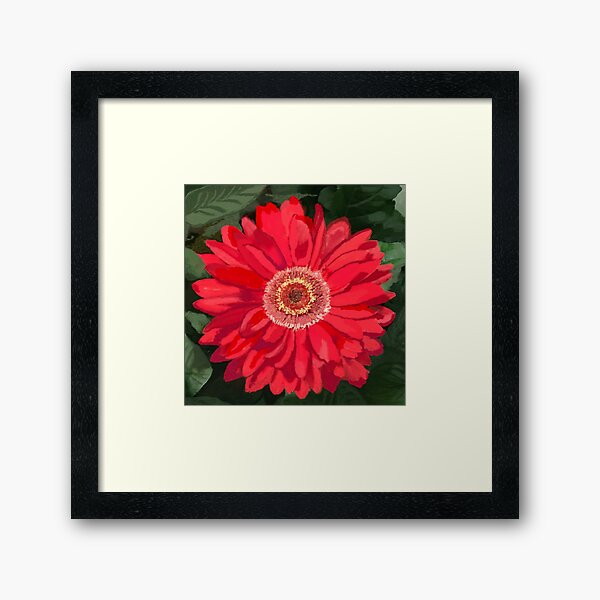 Red Daisy for Fame and Hallways Framed Art Print