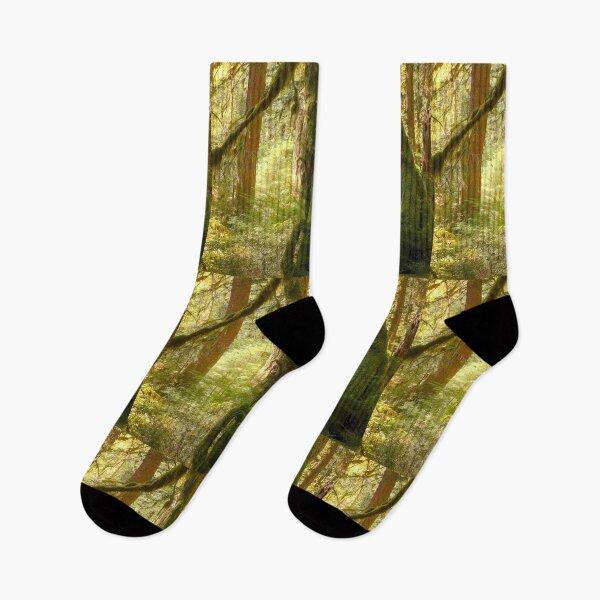 Item preview, SUN IN THE RAINFOREST designed and sold by Elaine Bawden.