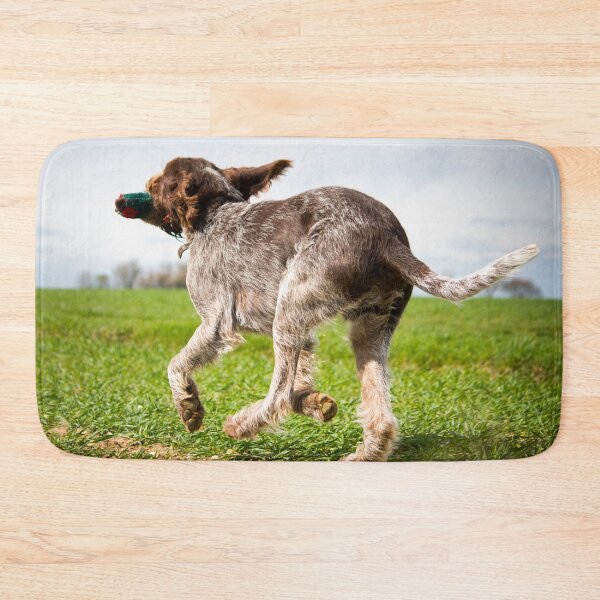Item preview, Running with a dummy Spinone by heidiannemorris designed and sold by FOLK ART FUSION by heidiannemorris.