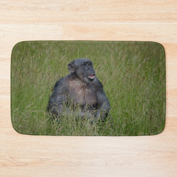 Item preview, Chimpanzee Sitting In The Grass designed and sold by rawshutterbug.