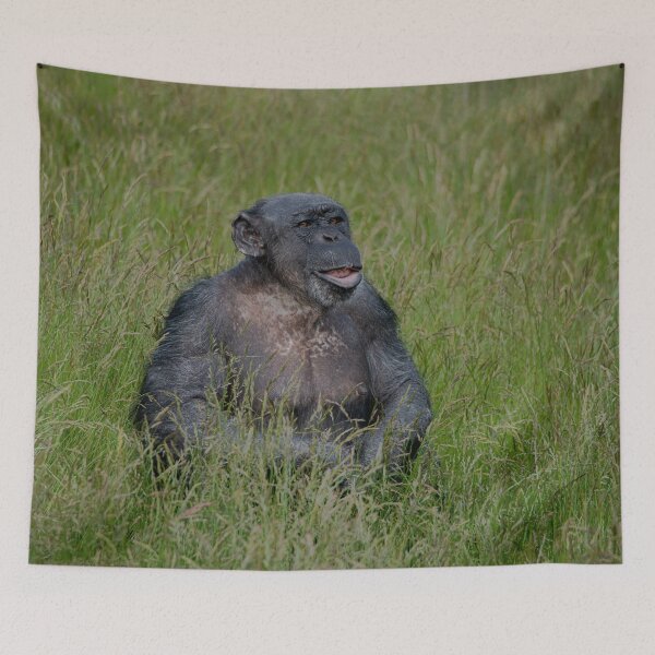 Item preview, Chimpanzee Sitting In The Grass designed and sold by rawshutterbug.