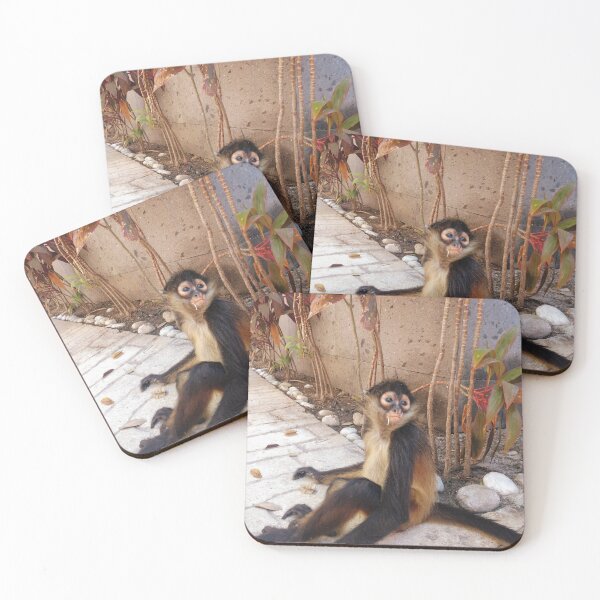 Item preview, mexico monkey  designed and sold by jordanliv.