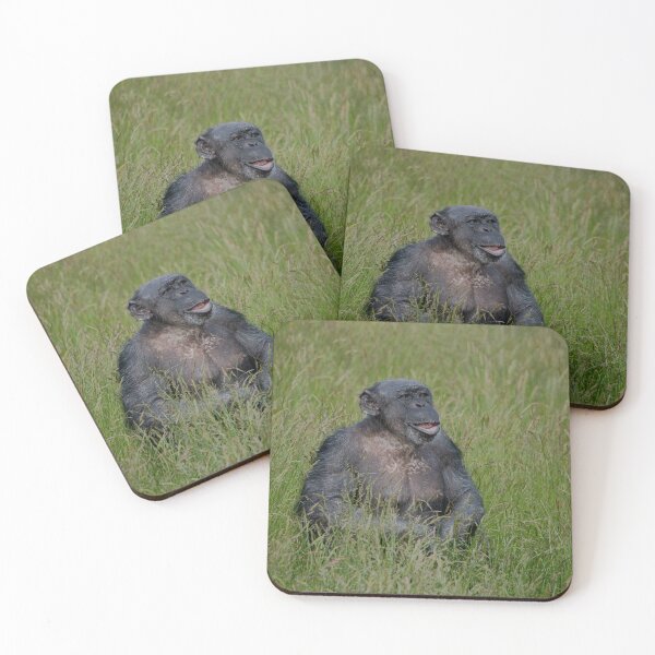 Item preview, Chimpanzee Sitting In The Grass designed and sold by rawshutterbug.