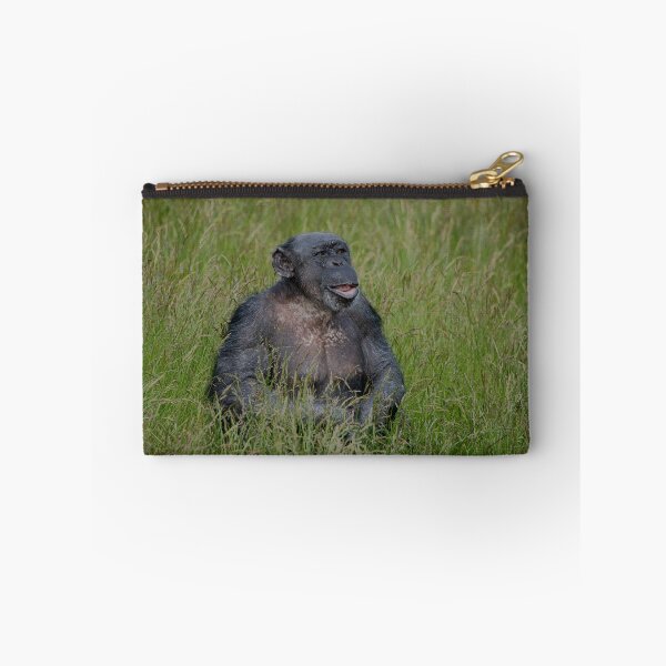 Item preview, Chimpanzee Sitting In The Grass designed and sold by rawshutterbug.