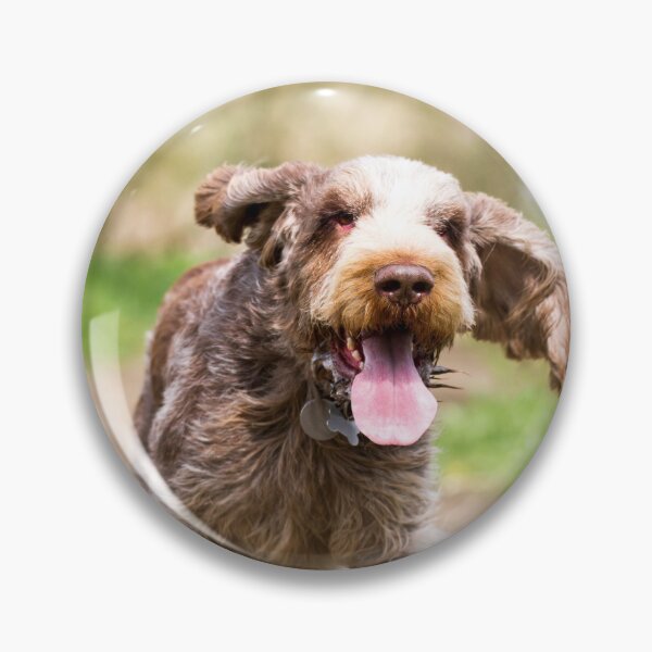 Artikelvorschau, Glücklich, einen Spaziergang zu machen, Spinone entworfen und verkauft von FOLK ART FUSION.