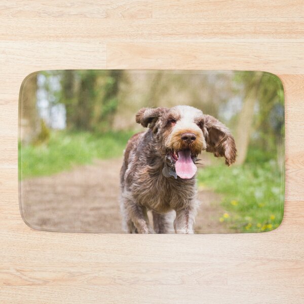 Artikelvorschau, Glücklich, einen Spaziergang zu machen, Spinone entworfen und verkauft von FOLK ART FUSION by heidiannemorris.