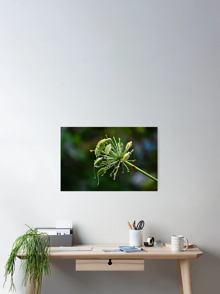 Thumbnail 2 of 3, Poster, raindrops designed and sold by Loreto Bautista Jr..