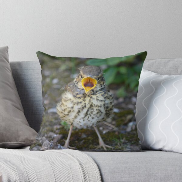 Item preview, Little Mistle Thrush designed and sold by Alexandra Lavizzari.