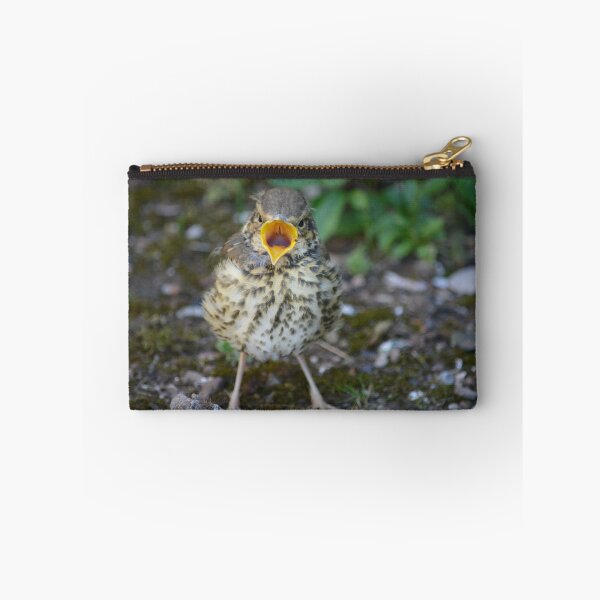 Item preview, Little Mistle Thrush designed and sold by Alexandra Lavizzari.