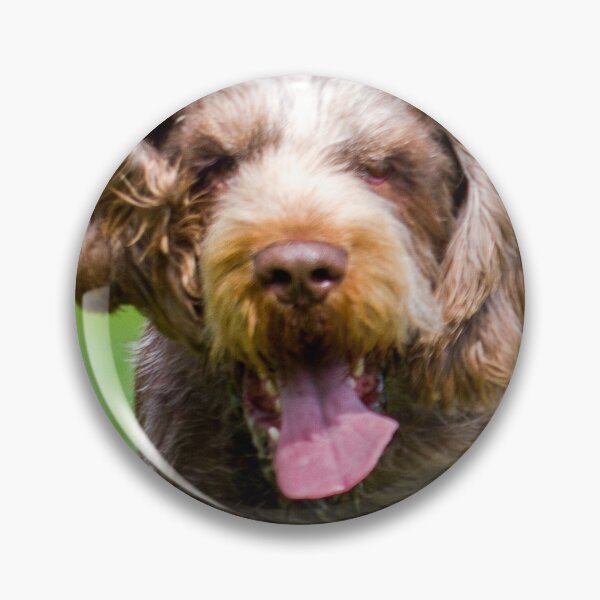 Artikelvorschau, Durch ein Feld laufen Spinone entworfen und verkauft von FOLK ART FUSION.