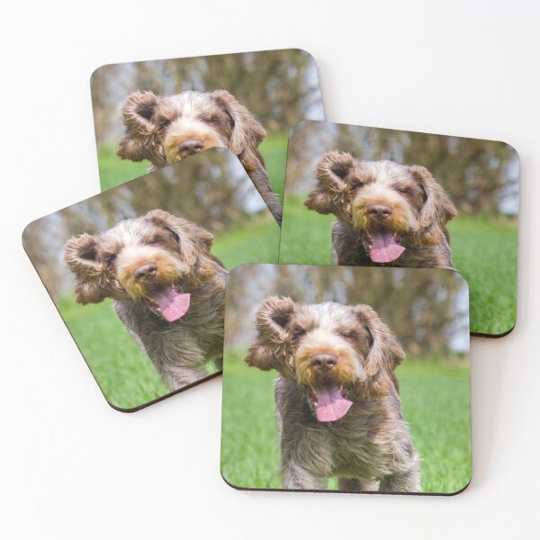 Item preview, Running through a field Spinone designed and sold by FOLK ART FUSION.