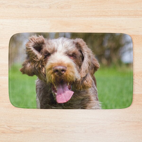 Artikelvorschau, Durch ein Feld laufen Spinone entworfen und verkauft von FOLK ART FUSION by heidiannemorris.