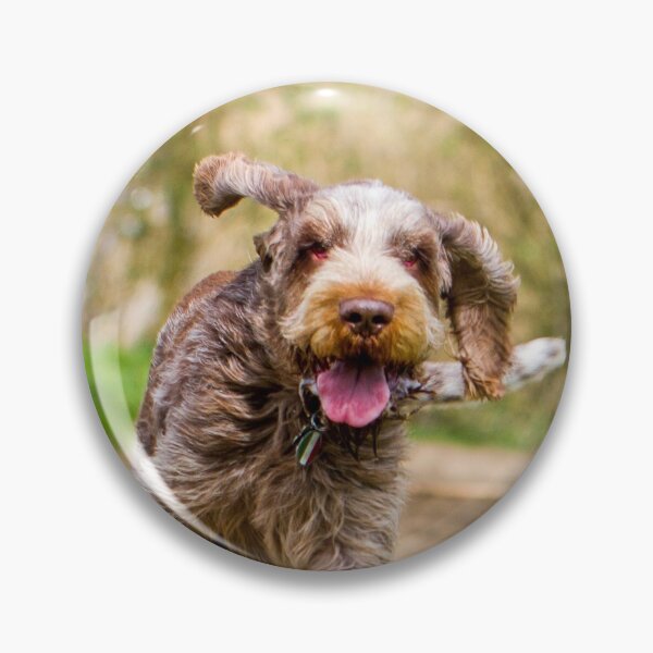 Item preview, Cantering through the woods Spinone designed and sold by FOLK ART FUSION by heidiannemorris.