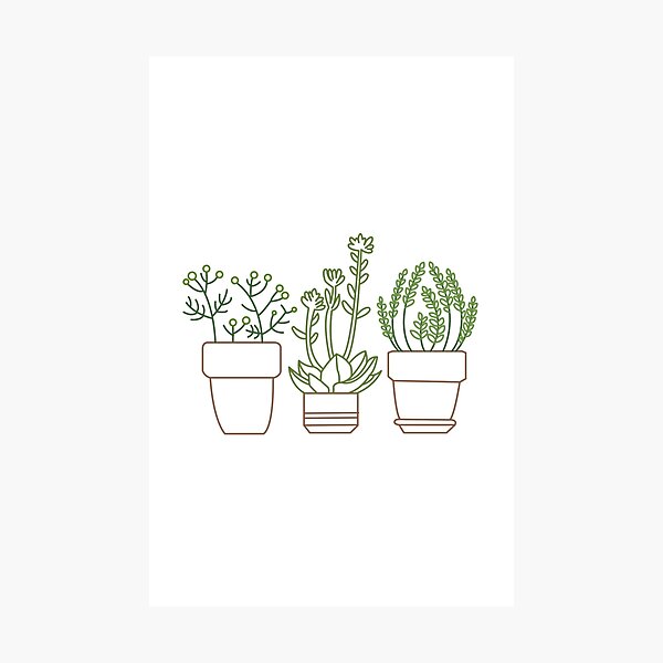 Aperçu de l'œuvre plantes succulentes créée et vendue par Thea12.
